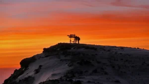 Kilimanjaro summit, Shira route